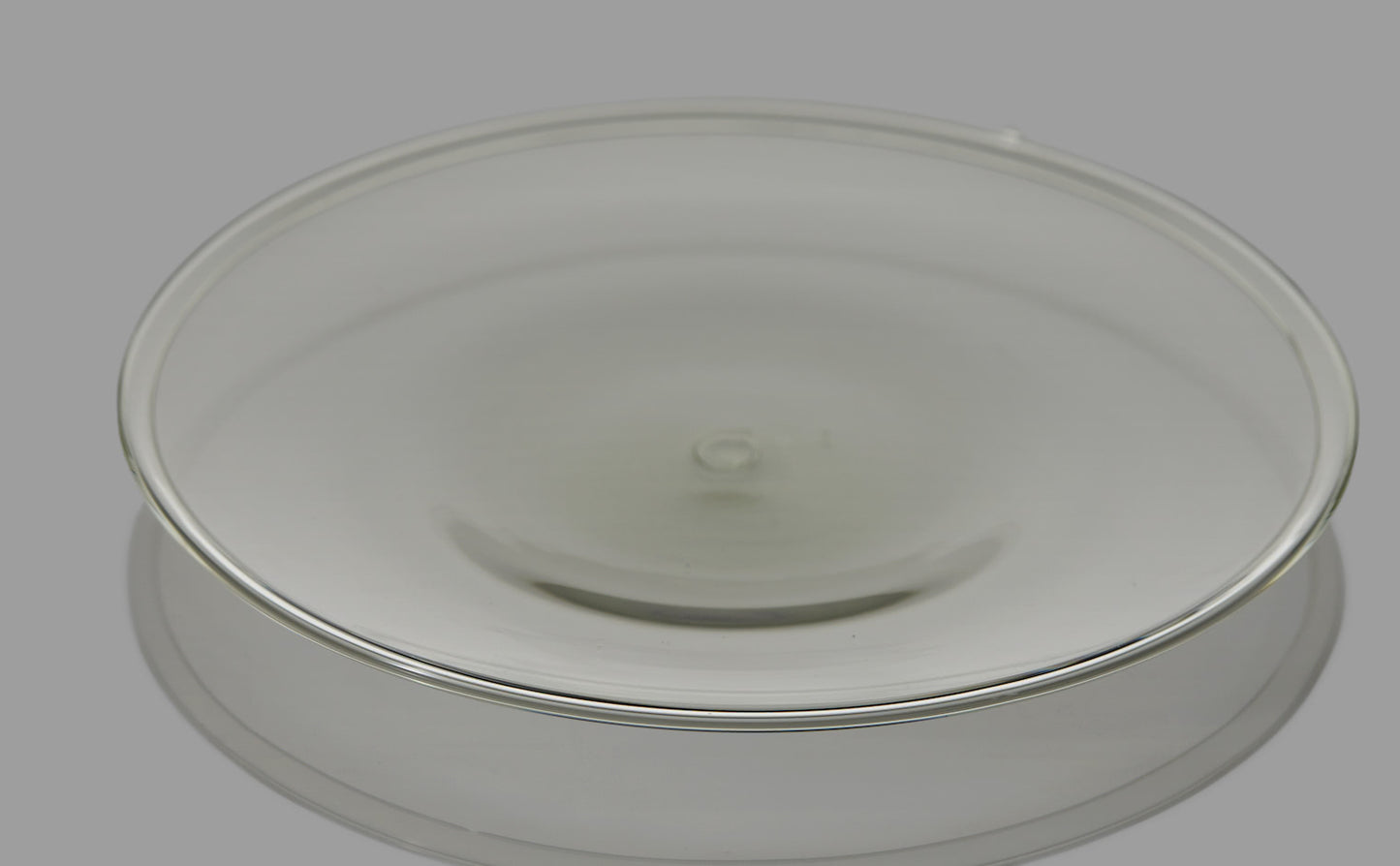 Dish L