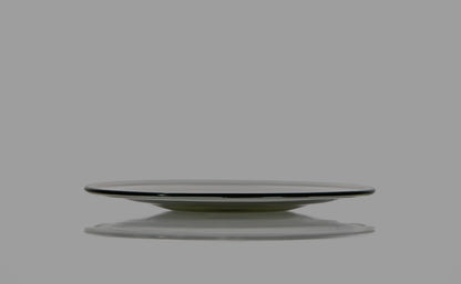 Dish S