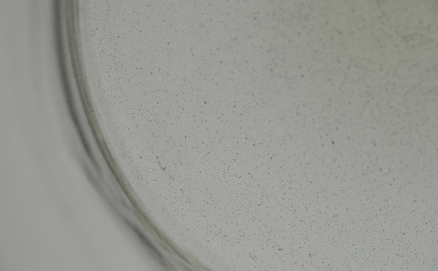 Glass Wide XL