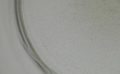 Glass Wide XL