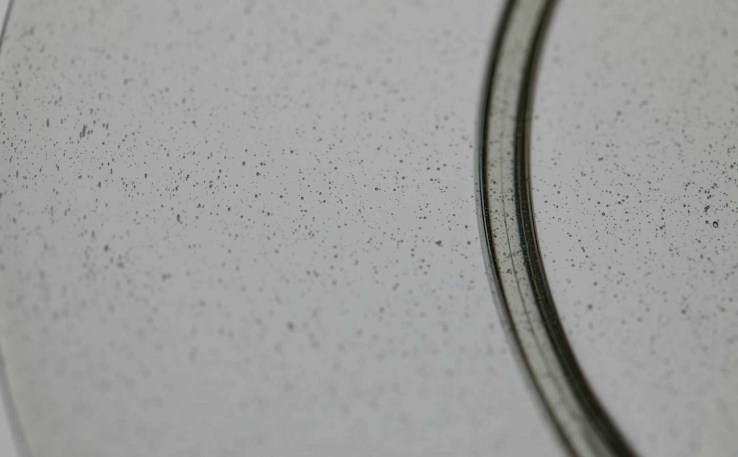 Large Rim Plate