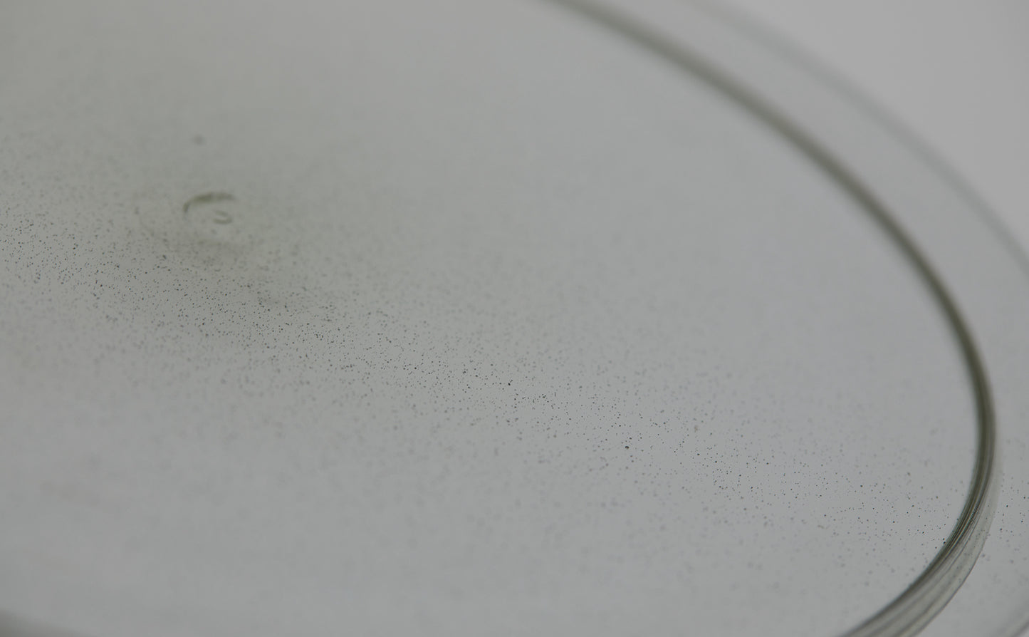 Small Rim Plate M
