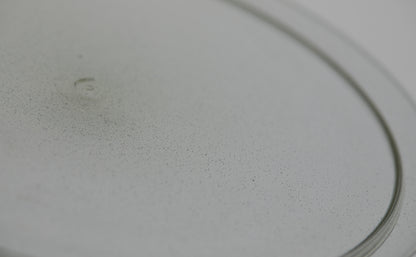Small Rim Plate M